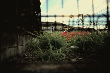 9Z2A0047副本.jpg
