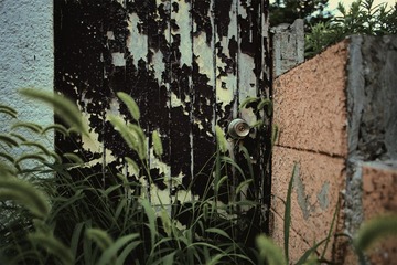 9Z2A0056副本.jpg