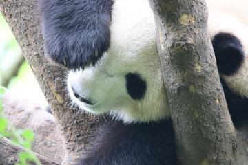 947