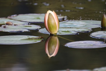 493587