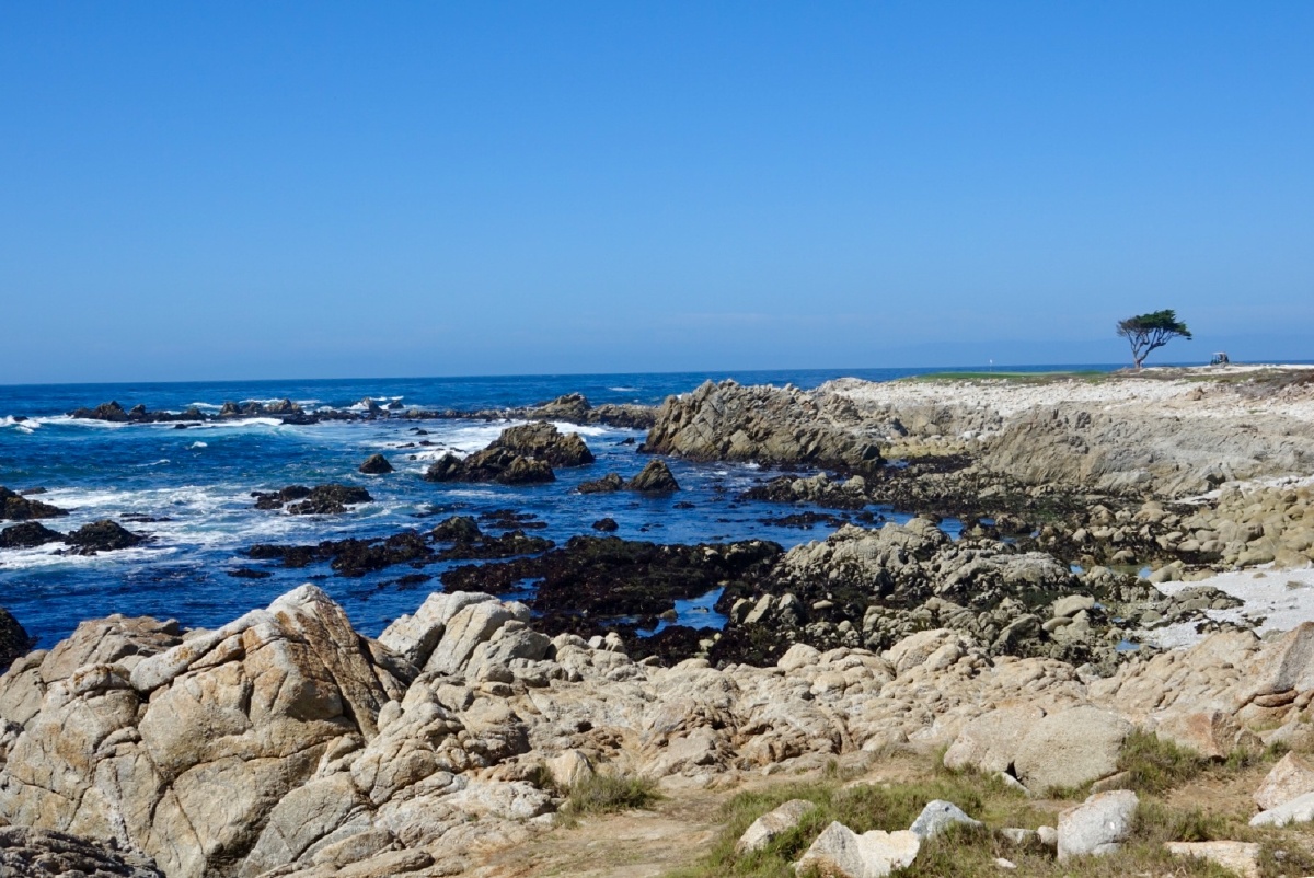 加州十七里湾海景