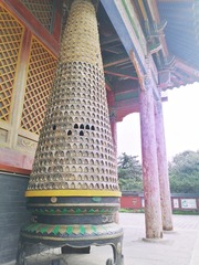MEITU_20250804_164353945