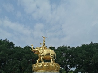 IMG_20250802_102630