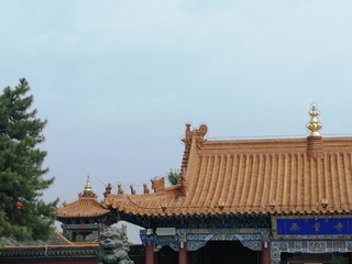 IMG_20250802_103320