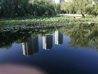 IMG_20250731_173100