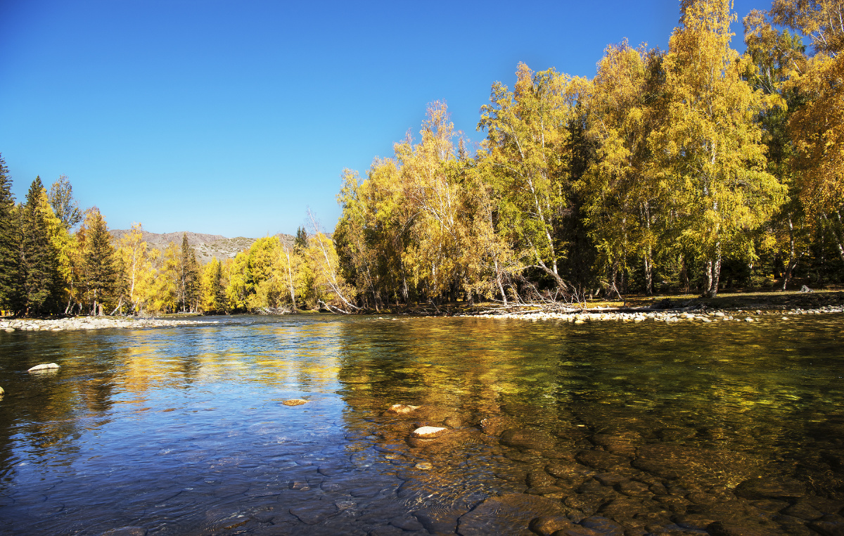 喀纳斯秋色 - 用户151658605527737 - 图虫网 - 优质摄影师交流社区