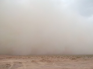 1000055054