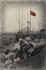 党旗2.jpg