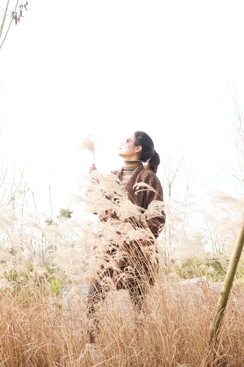 芦苇花人像