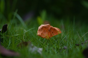 1000107716