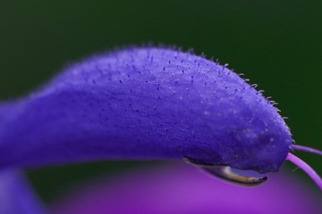 1000107719