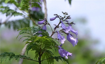 DSC05768_