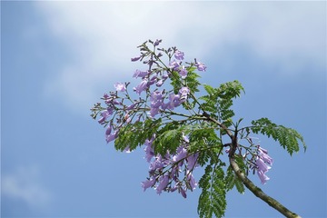 DSC05764__