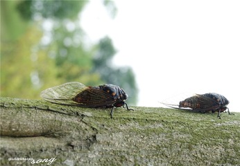 DSC07564_