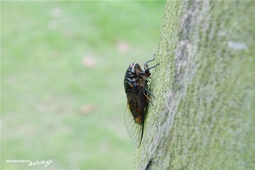 DSC07566_