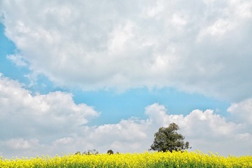 73612