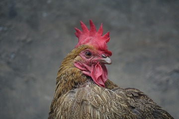 63458