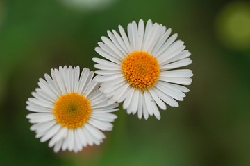 1000101873