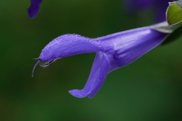 1000106234