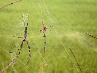 2012-08-11.jpg