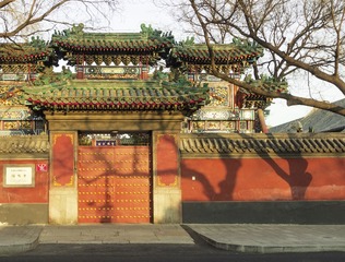 _MG_3845-编辑-2