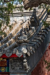 input/DSC07875
