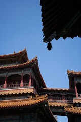 script/event_post/jingcai_2/雍和宫