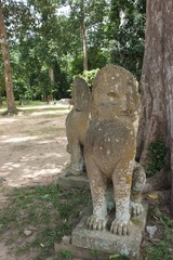 Picture 5