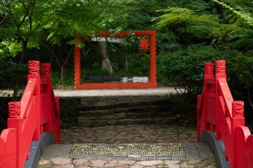 input/_NZ62580