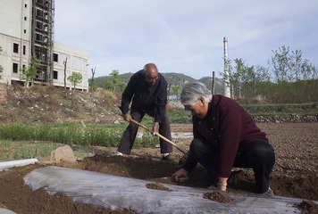 input/《夫妻》陈建平 (5)_1