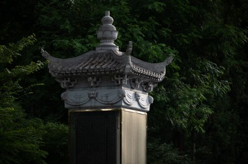 input/_NZ63154