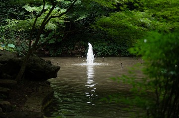 input/_NZ62584