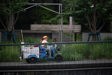 input/_DSC2104