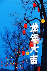 input/DSC00010
