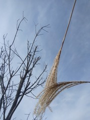 IMG_20221211_113742