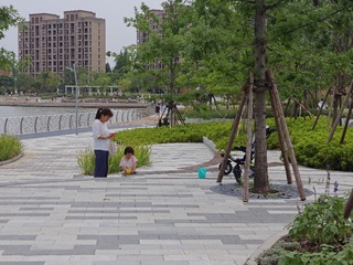 input/IMG20240714175300