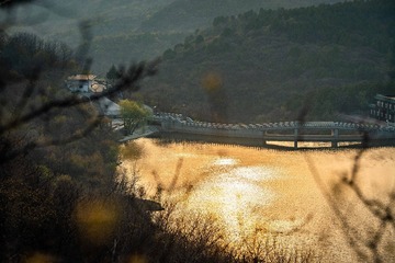 input/DSC08105