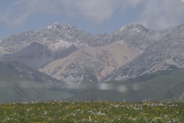 _DSC5526