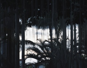 120095