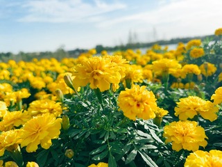 464F3FD2-B41E-401D-8CF3-583B6A802CA1/L0/001
