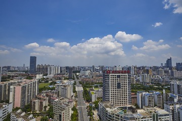 _DSC0952