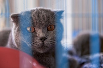 _DSC2766