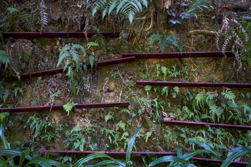 _DSC2669