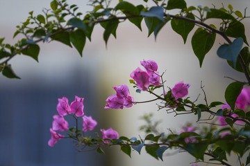 _DSC3030