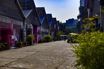 _DSC1454