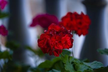 _DSC3025