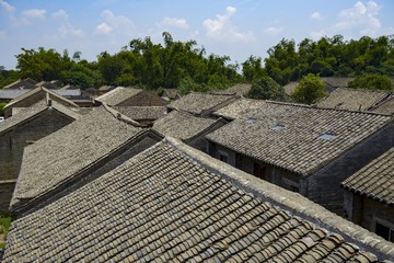 _DSC0979