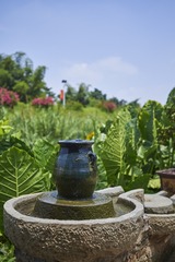 _DSC0965