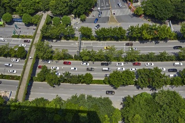 _DSC0958