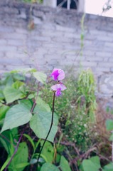IMG_20250812_214230
